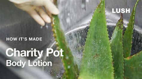How It’s Made: Charity Pot Hand and Body Lotion.